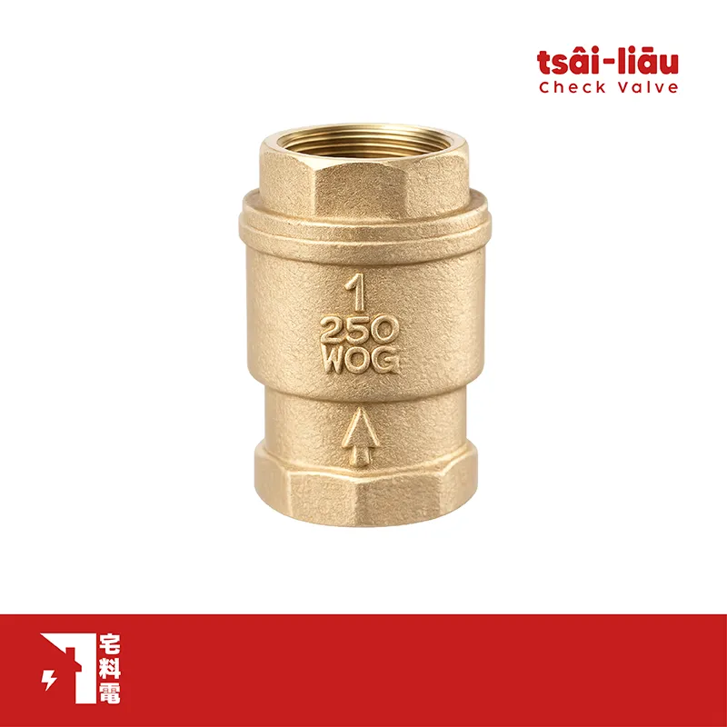 【宅料電】無聲逆止閥 砲金銅  牙口 FS-204富山牌