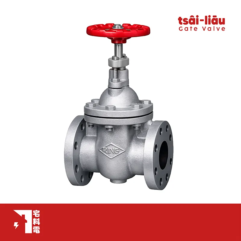 【宅料電】閘閥 10K鑄鐵法蘭式 FIG.071東光牌