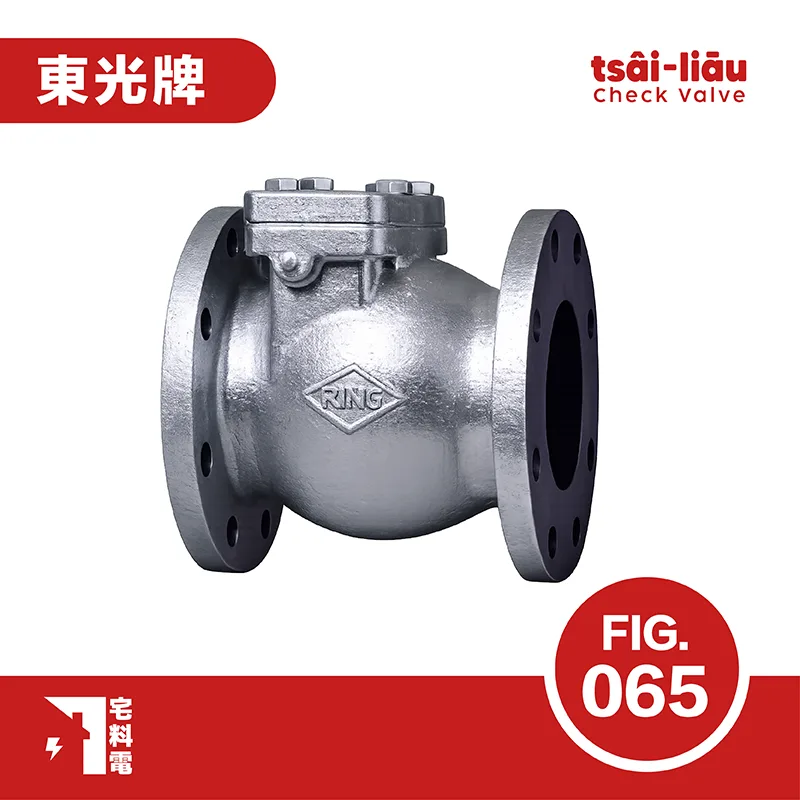 【宅料電】橫式逆止閥 10K 鑄鐵法蘭式 FIG.065東光牌